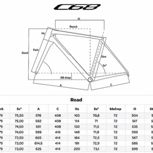 CNNWO1-3.webp
