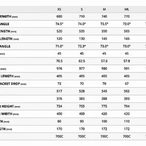 G5BGT1-2.webp