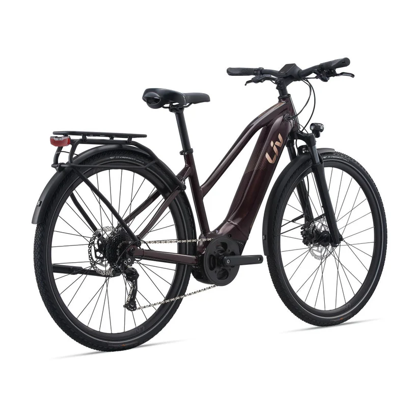 Liv Amiti E+ 2 28MPH E-Bike (2022)