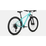 Specialized-Rockhopper-Expert-29-Mountain-Bike_thrgret-150×150